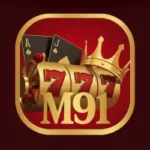 m91 game
